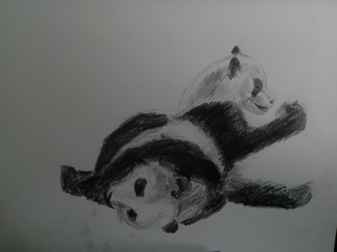 Panda sketch by Valerie Choo